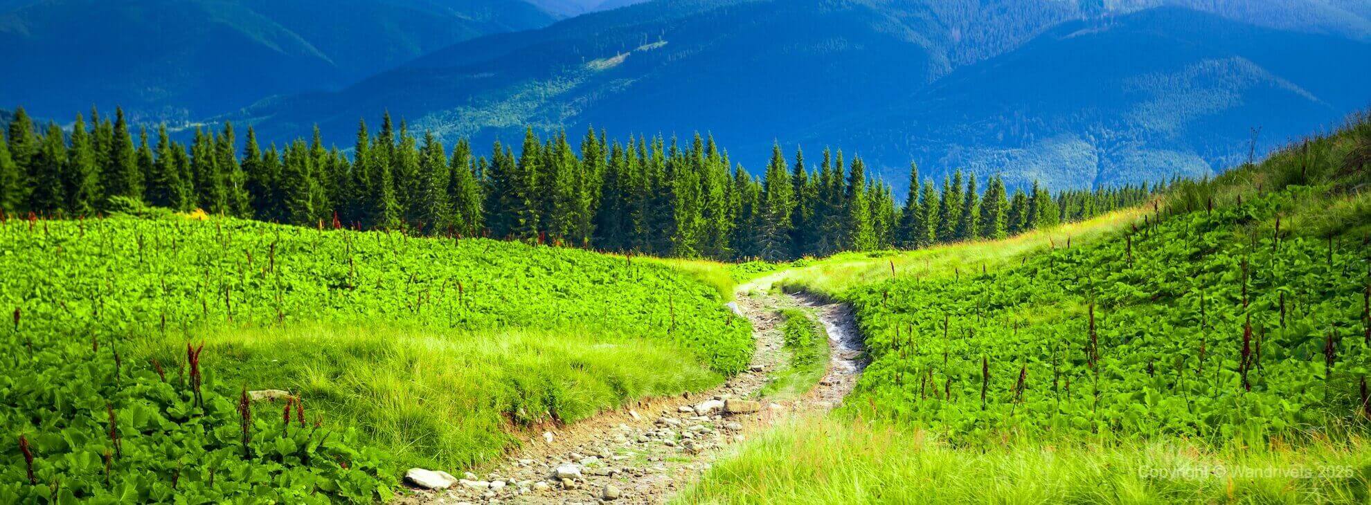 Найкращі місця в Карпатах | Wandrivets