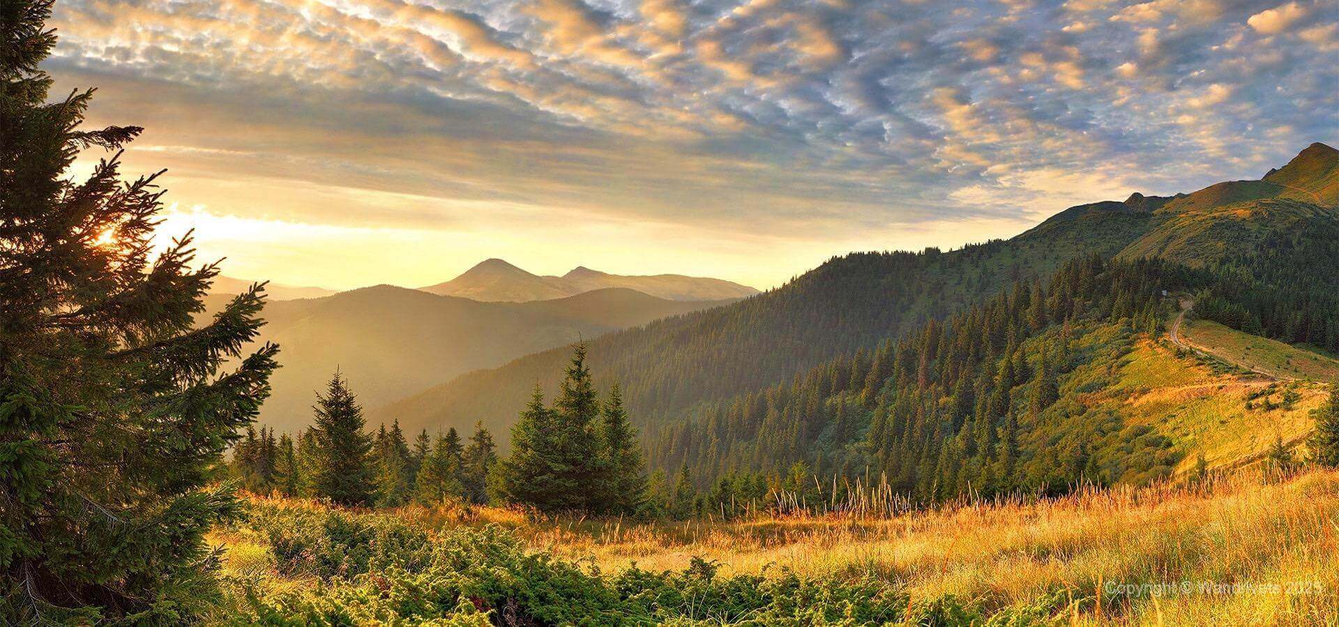 Закарпаття поза гідами: ТОП 15 маловідомих місць