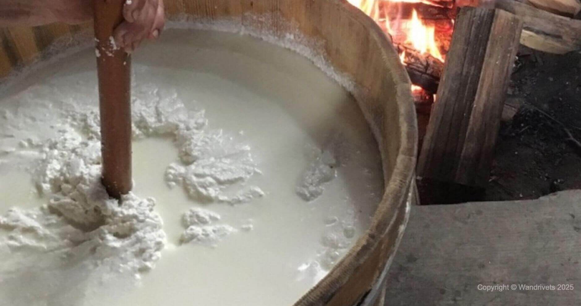 Фестивалі Закарпаття