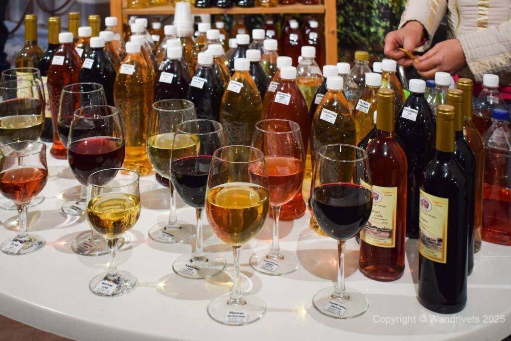 Дегустація на Винному фестивалі в Берегові, Закарпаття.