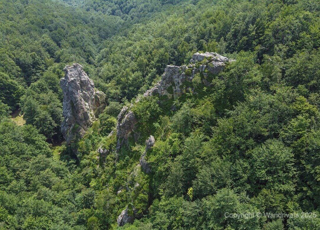Джерело Смерековий Камінь у Зачарованій долині, Карпати 2025