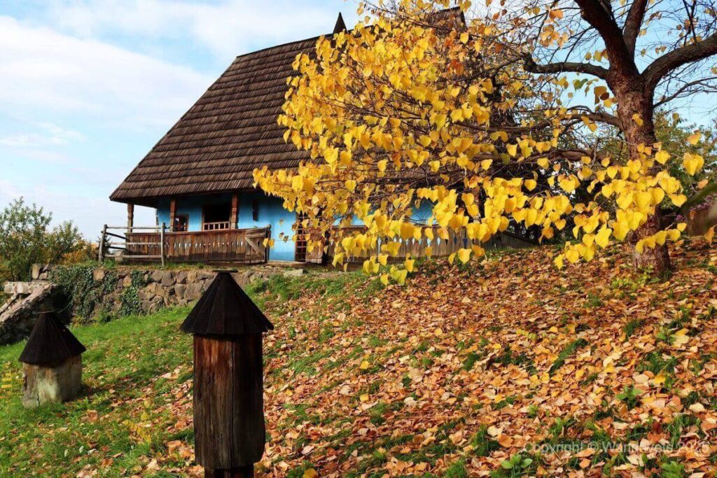 Хата-гражда у Вербовці, Закарпаття, етнографічний музей.