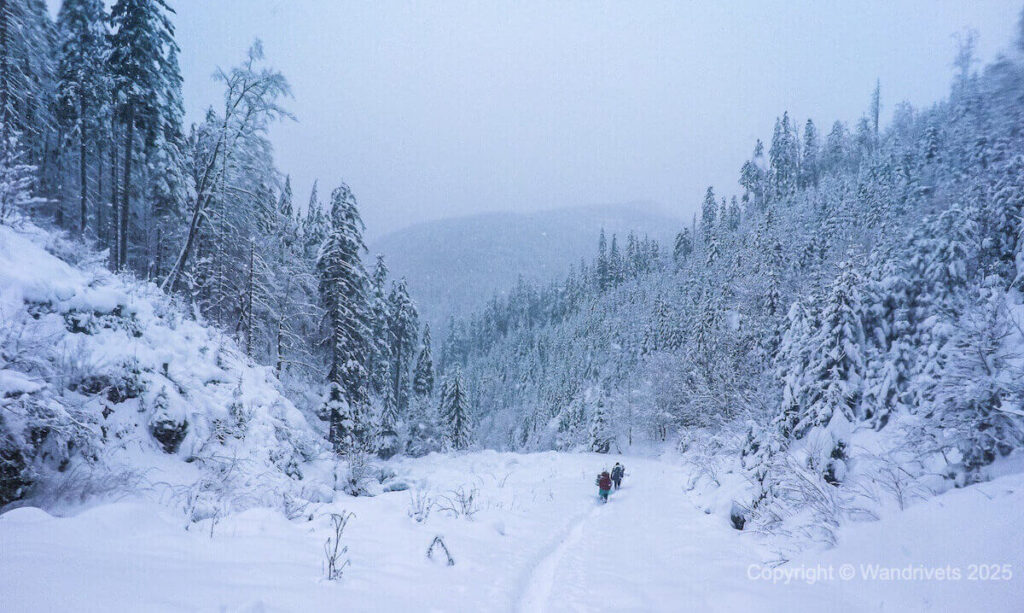 Як не загубитися в горах зимою