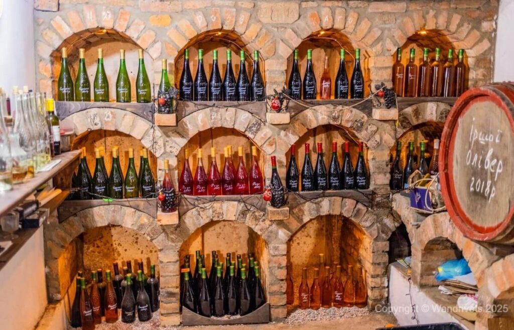 Wine cellar of the Usta family